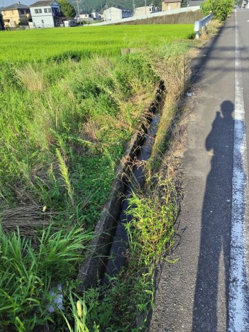 ６３８０８　岐阜市粟野西土地のその他