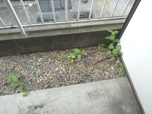 ベルドーラ一之江Ｄの庭