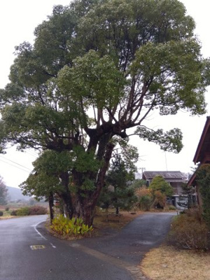  | いすみ田舎暮らし