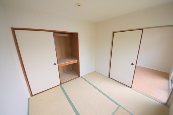 鳩マンションのその他