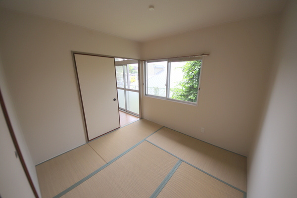 鳩マンションのその他