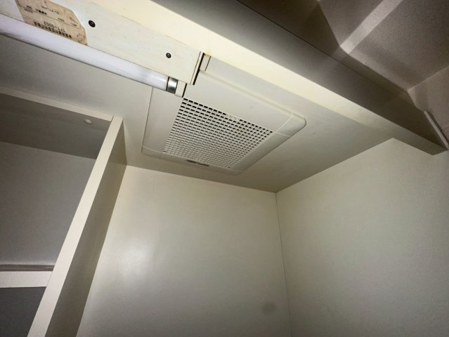 ブラウンコートのその他