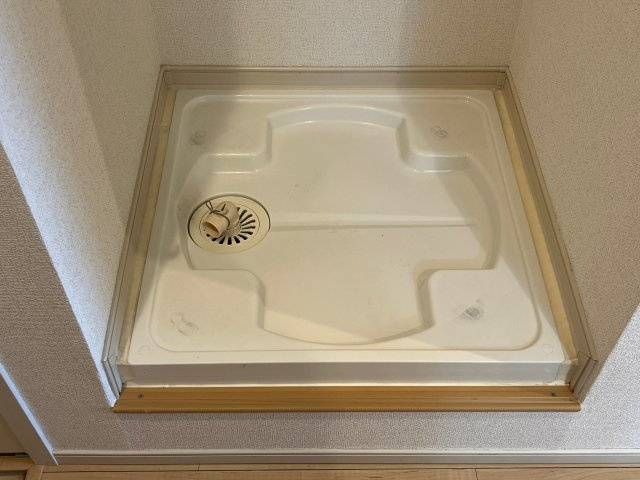 シエナのその他