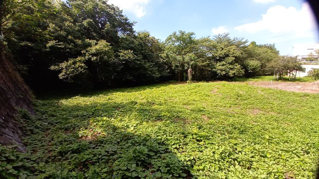 【外観】 | 三島市壱町田　売地 | 敷地内の陽当たり良好