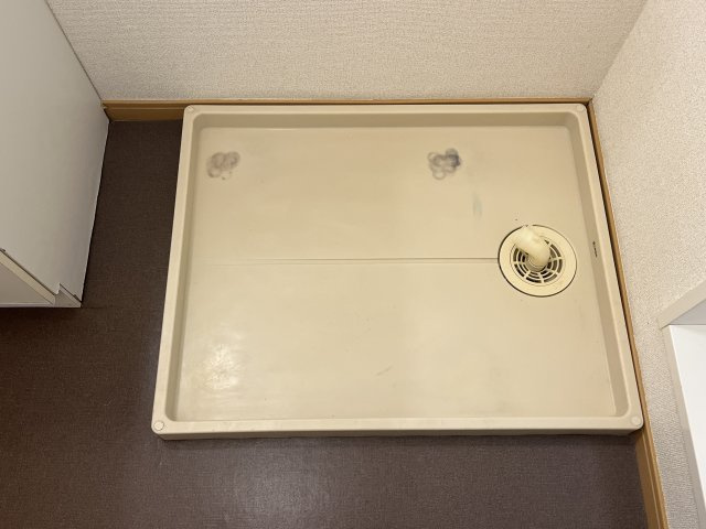 カモミールⅢ　Ａのその他