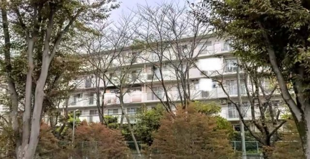 北柏ライフタウン松葉町1丁目第一団地11号棟の現況写真