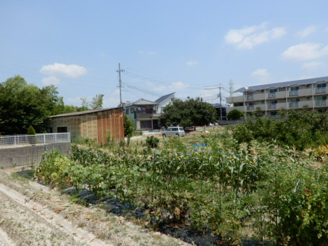 神戸市西区伊川谷町有瀬のアパートの展望