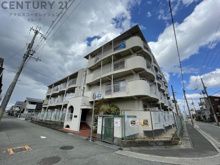 シャトルイツキの画像