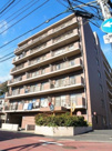 メイ・グリーン塚田の画像