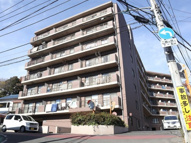 メイ・グリーン塚田の画像
