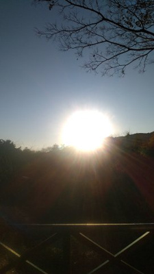 【展望】 | 湯河原《理想郷》戸建住宅 | ウッドデッキからの眺望です。