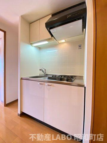 レジュールアッシュ天王寺のキッチン