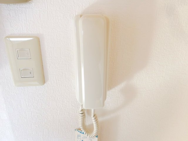 アップルハイツ南芥川のセキュリティ