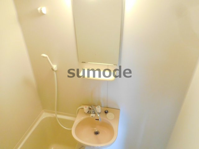 アップルハイツ南芥川の洗面所