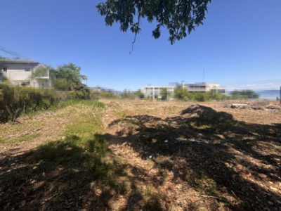 【外観】 | 大津市木戸1442-2 他6筆　売土地 | 2025年05月　撮影