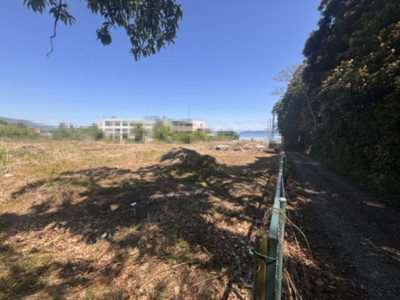 【前面道路含む現地写真】 | 大津市木戸1442-2 他6筆　売土地 | 2025年05月　撮影