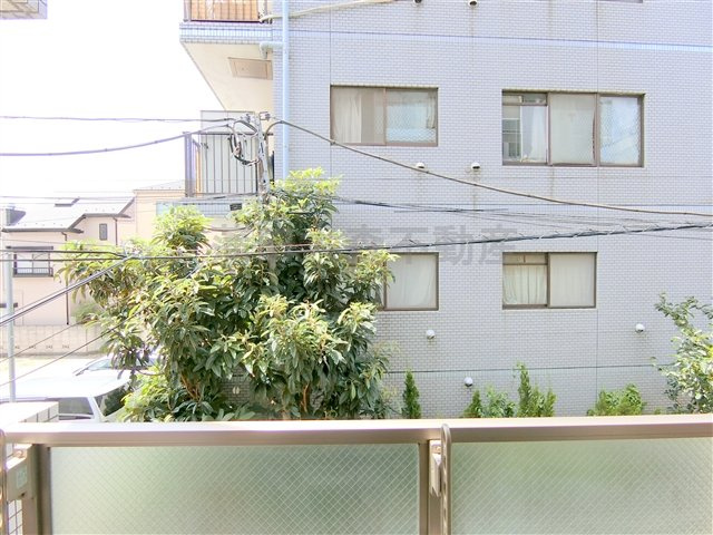 パピエ・レイの展望