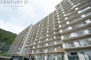 鉄骨鉄筋コンクリート造13階建て