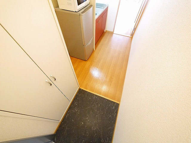 レオパレス大陽伍番館の玄関|玄関です