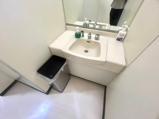 東海保険ガーデンビルの洗面所
