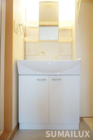 リブズ菊池Ⅱの洗面所