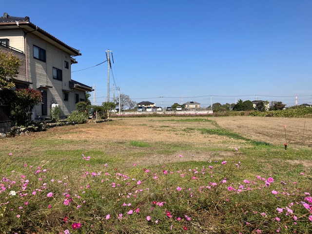 吉見町中新井  土地98坪の外観
