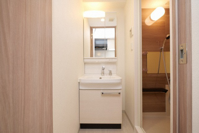 プレサンス天王寺　勝山の洗面所