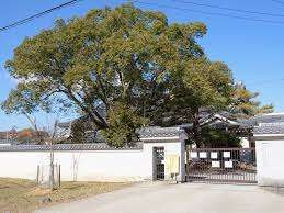 COZY奈良公園の周辺|小学校「奈良市立鼓阪小学校まで625m」