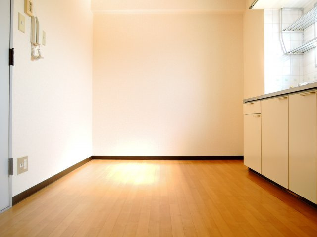 735柳ビルの居間・リビング