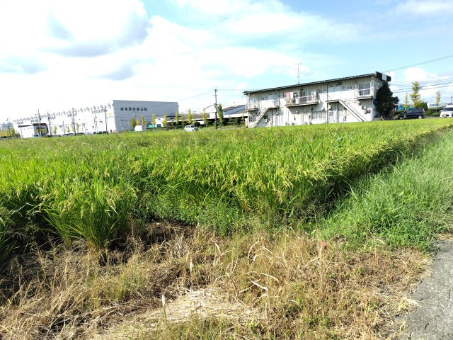 ６３７０４　岐阜市柳津町高桑東1丁目 農地の外観