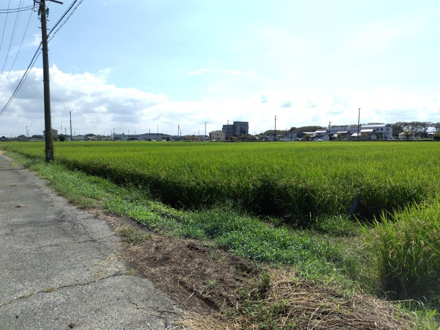 ６３７０５　岐阜市柳津町高桑東2丁目 農地の外観