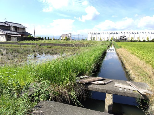 ６３７０５　岐阜市柳津町高桑東2丁目 農地の外観
