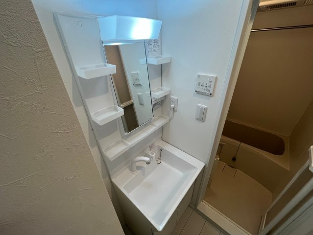 ＬＥＶＩＣＩＡ ＢＬＤＧ.Ⅱ(レヴィシアビルディングツー)の洗面所|シャンプードレッサーあり