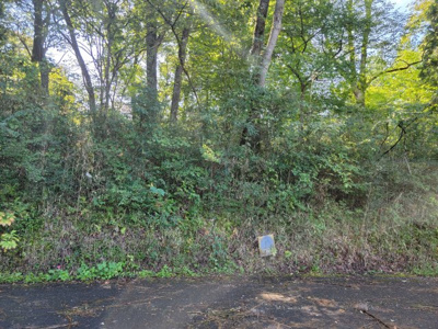 【周辺】 | 日光市沢又