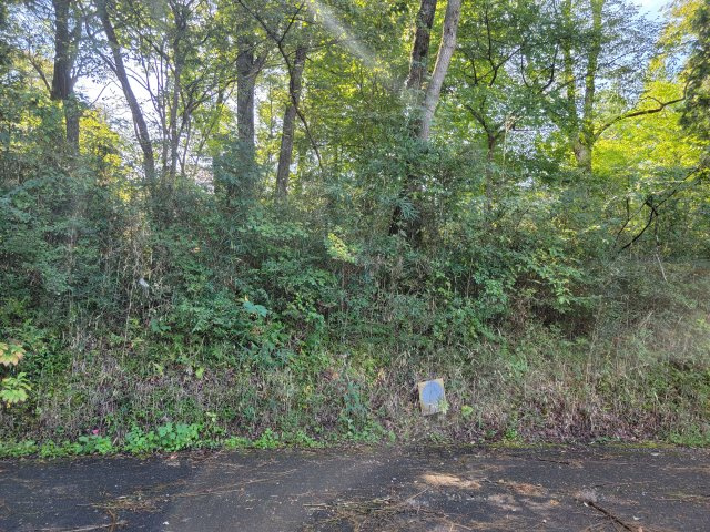 【周辺】日光市沢又