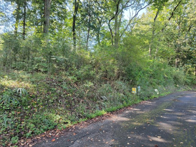 【周辺】 | 日光市沢又