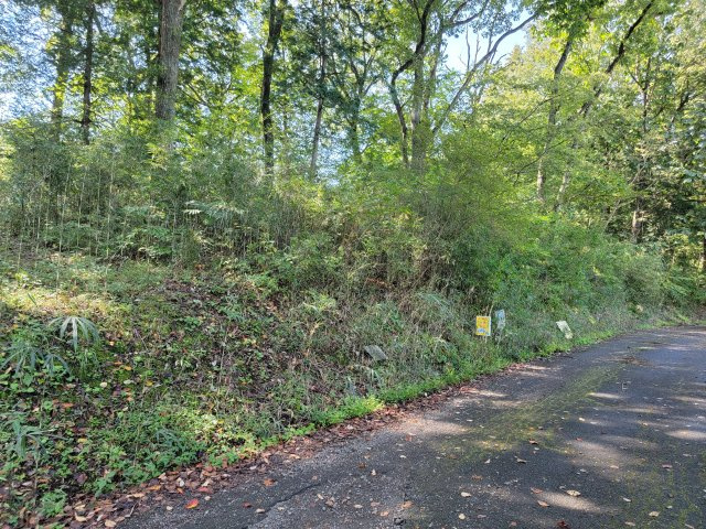 【周辺】日光市沢又