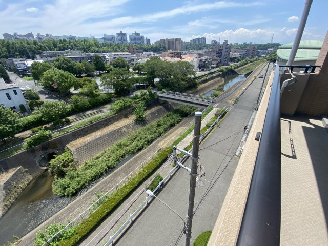 現地バルコニーより撮影
