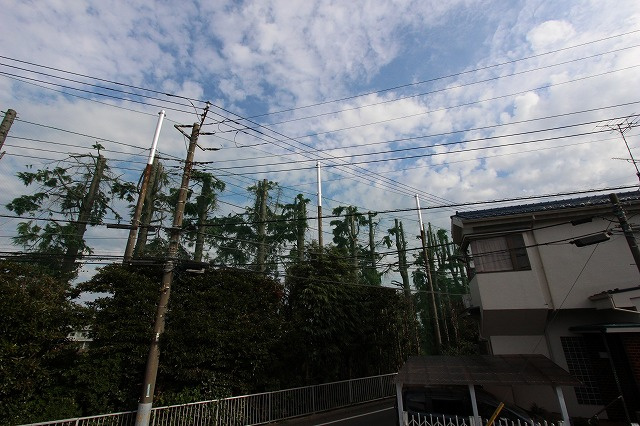 クレストヒルズの展望