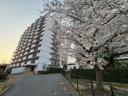 スカイハイツ和白ヶ丘西館の画像