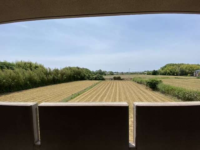 サンコート庄山の展望