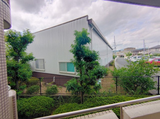 【展望】