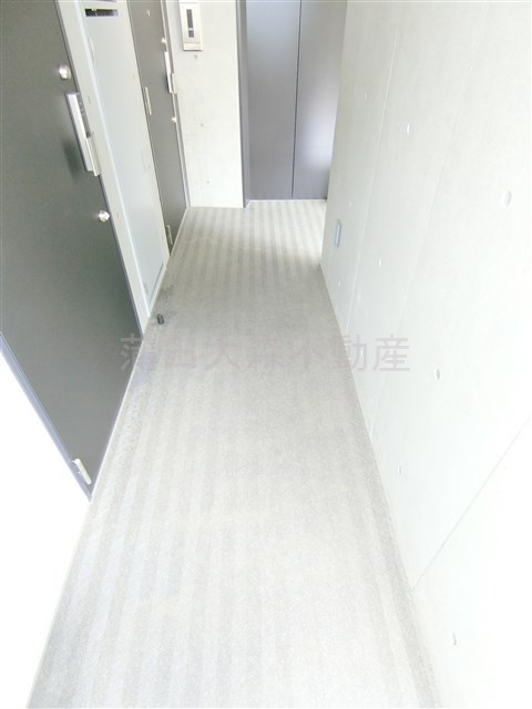 ルネサンスコート蒲田WEST＠仲介手数料無料のその他共用部分|共用廊下