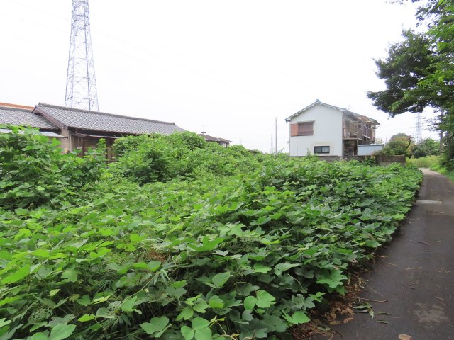 坂戸市塚越売地の外観