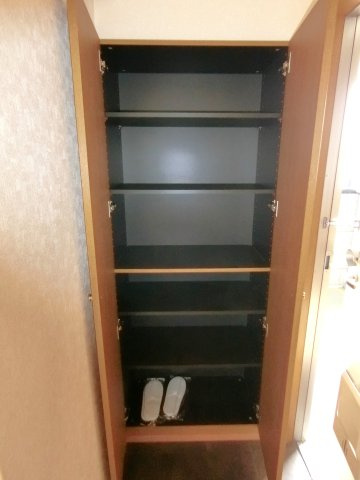 ミレーニアの収納