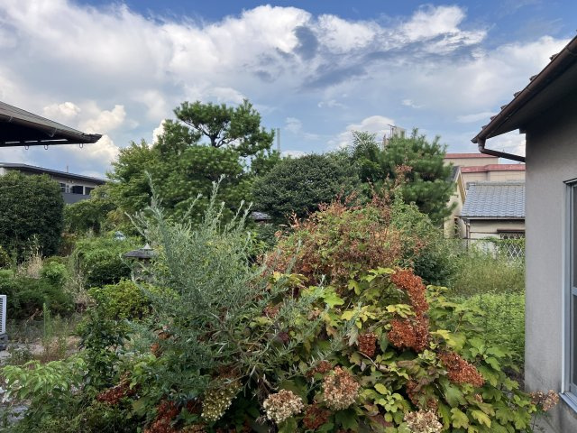 【外観】 | 古市２丁目　売土地