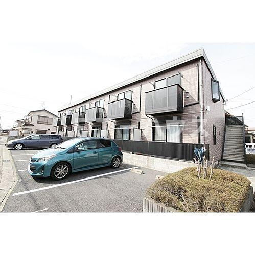 アムール Verdure