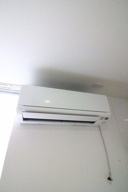 RENATUS PREMIO のその他