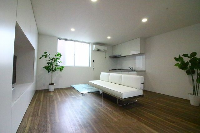 RENATUS PREMIO のその他
