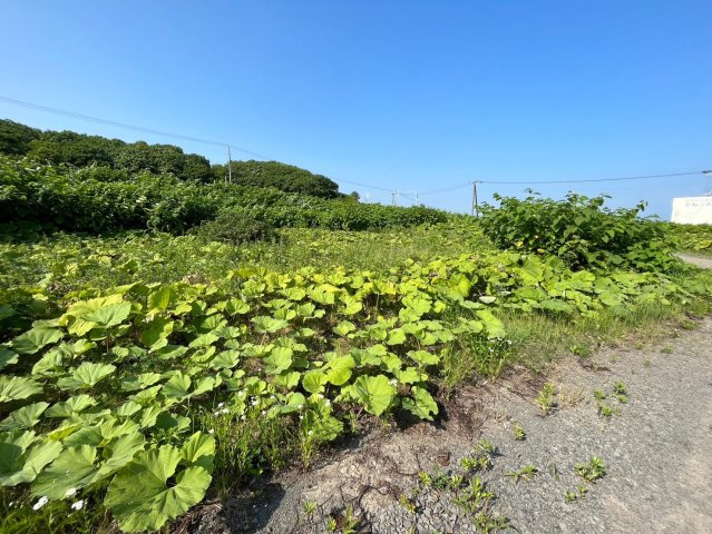 厚岸町白浜2丁目　売土地